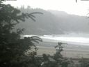 ./images/calvert/beach/20200716/beach20200716_085001.jpg