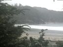 ./images/calvert/beach/20200716/beach20200716_092502.jpg