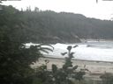 ./images/calvert/beach/20200716/beach20200716_105502.jpg