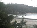 ./images/calvert/beach/20200716/beach20200716_131502.jpg