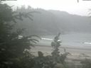 ./images/calvert/beach/20200718/beach20200718_141002.jpg