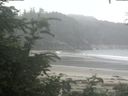 ./images/calvert/beach/20200718/beach20200718_184503.jpg