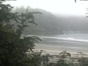 ./images/calvert/beach/20200718/beach20200718_193502.jpg