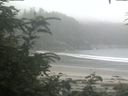 ./images/calvert/beach/20200718/beach20200718_195501.jpg