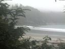 ./images/calvert/beach/20200718/beach20200718_201501.jpg