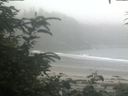 ./images/calvert/beach/20200718/beach20200718_202002.jpg