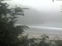 ./images/calvert/beach/20200718/beach20200718_202503.jpg