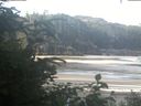 ./images/calvert/beach/20200720/beach20200720_084003.jpg
