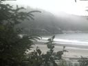 ./images/calvert/beach/20200720/beach20200720_162001.jpg