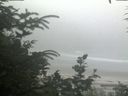 ./images/calvert/beach/20200720/beach20200720_163502.jpg