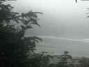 ./images/calvert/beach/20200721/beach20200721_052003.jpg