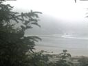 ./images/calvert/beach/20200721/beach20200721_061002.jpg