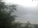 ./images/calvert/beach/20200721/beach20200721_061501.jpg