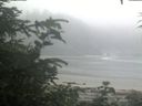 ./images/calvert/beach/20200721/beach20200721_062002.jpg