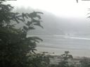 ./images/calvert/beach/20200721/beach20200721_062502.jpg