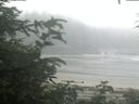 ./images/calvert/beach/20200721/beach20200721_073502.jpg