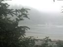 ./images/calvert/beach/20200721/beach20200721_074502.jpg