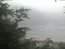 ./images/calvert/beach/20200721/beach20200721_080501.jpg