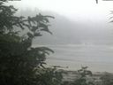 ./images/calvert/beach/20200721/beach20200721_081002.jpg