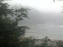 ./images/calvert/beach/20200721/beach20200721_081501.jpg