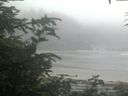 ./images/calvert/beach/20200721/beach20200721_082001.jpg