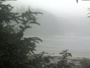 ./images/calvert/beach/20200721/beach20200721_091002.jpg
