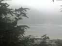 ./images/calvert/beach/20200721/beach20200721_091502.jpg