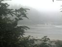 ./images/calvert/beach/20200721/beach20200721_092503.jpg