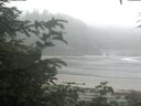 ./images/calvert/beach/20200721/beach20200721_094001.jpg