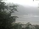 ./images/calvert/beach/20200721/beach20200721_094501.jpg