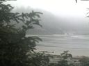 ./images/calvert/beach/20200721/beach20200721_100003.jpg