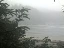 ./images/calvert/beach/20200721/beach20200721_101001.jpg
