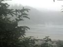 ./images/calvert/beach/20200721/beach20200721_101503.jpg