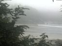./images/calvert/beach/20200721/beach20200721_105002.jpg