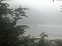 ./images/calvert/beach/20200721/beach20200721_105503.jpg