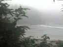 ./images/calvert/beach/20200721/beach20200721_110503.jpg
