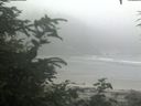 ./images/calvert/beach/20200721/beach20200721_111002.jpg