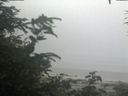 ./images/calvert/beach/20200721/beach20200721_111502.jpg