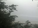 ./images/calvert/beach/20200721/beach20200721_114502.jpg