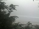 ./images/calvert/beach/20200721/beach20200721_115001.jpg