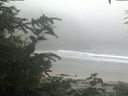 ./images/calvert/beach/20200721/beach20200721_121002.jpg