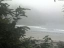 ./images/calvert/beach/20200721/beach20200721_122502.jpg