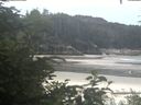 ./images/calvert/beach/20200722/beach20200722_105003.jpg