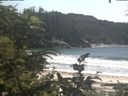 ./images/calvert/beach/20200722/beach20200722_152002.jpg