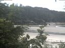 ./images/calvert/beach/20200724/beach20200724_114503.jpg