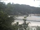 ./images/calvert/beach/20200724/beach20200724_115502.jpg