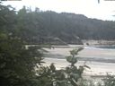 ./images/calvert/beach/20200724/beach20200724_121003.jpg