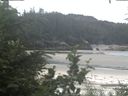 ./images/calvert/beach/20200725/beach20200725_115003.jpg
