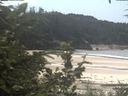 ./images/calvert/beach/20200725/beach20200725_134503.jpg