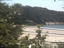 ./images/calvert/beach/20200725/beach20200725_141501.jpg
